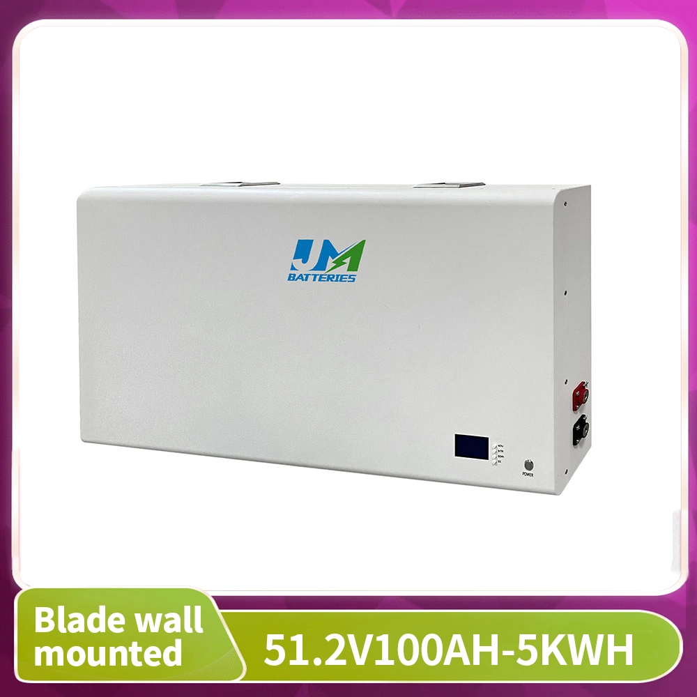 Lithium Ion LiFePO4 51.2V 100ah 5kwh Solar Battery Wall Mounted Battery