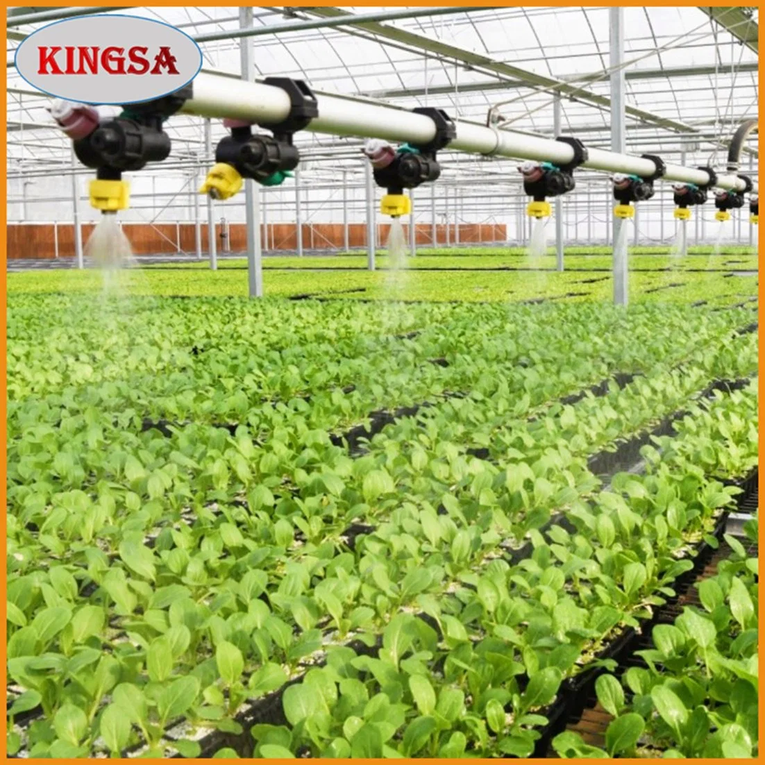 Cheap/Agriculture/Farm/Polycarbonate/Glass/Multi-Span Film Greenhouse with Irrigation Hydroponic System for Strawberry/Vegetables/Flowers/Tomato/Pepper