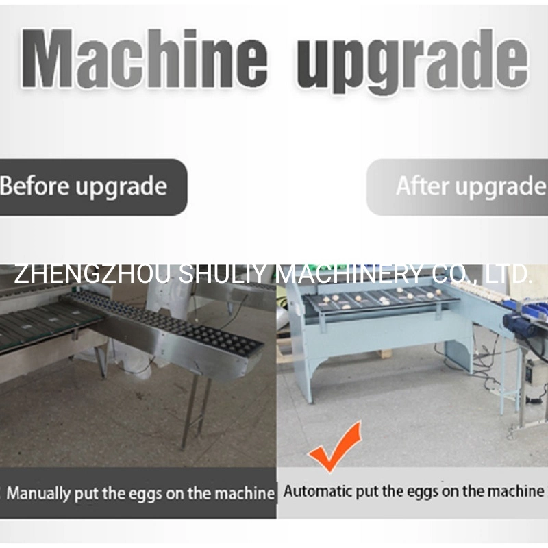 Automatic Egg Vacuum Lifter Grader Sorter Egg Grading Machine