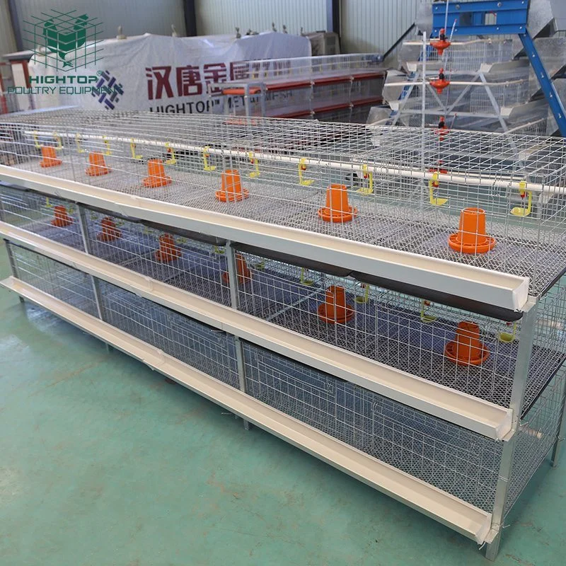 China Hightop Manufactory Poultry Equipment Semi Automatic Three Tiers Galvanized Wire H Type Broiler Cages