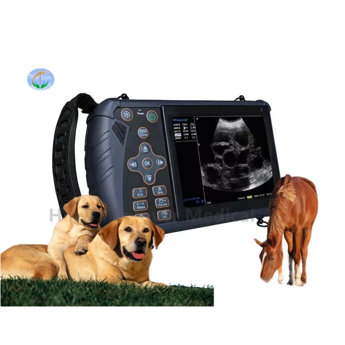 Scanner de ultrassons digital completo portátil para cães de gado bovino veterinário