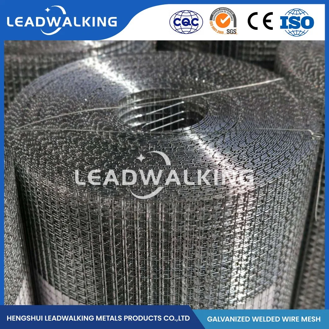 Leadwalking Welded Iron Wire Mesh Suppliers OEM Customized 48 Inch Welded Wire Fence China 1/2"X1/2" Inch Zinc Coated Galvanized Welded Wire Mesh