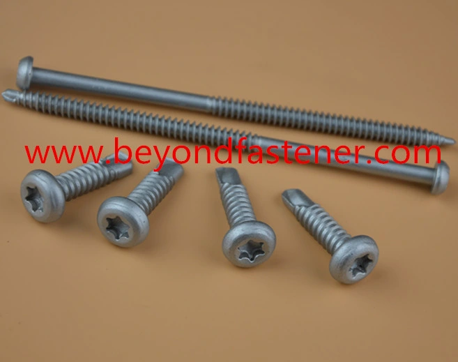 Self Tapping Screw Roofing Screw Bolts