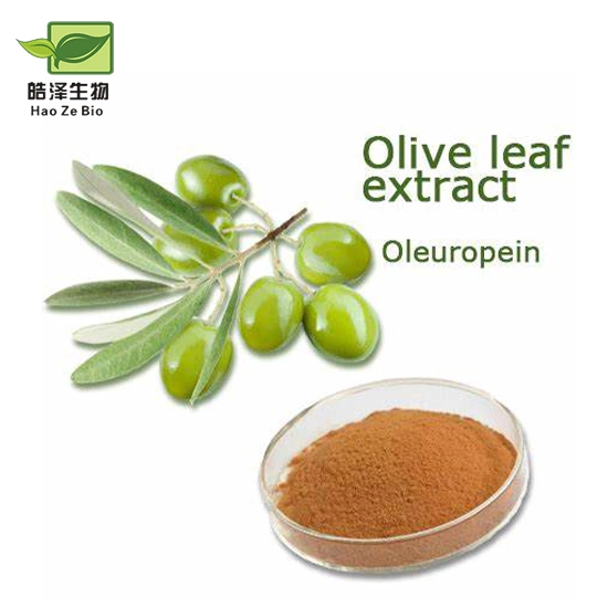Extracto de hojas de Oliva secas 40% de oleuroppeina Natural al por mayor polvo
