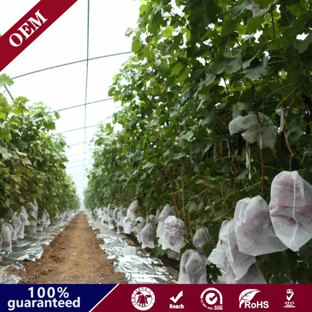 Spun Bonded Non Woven Fabric Mulch Film Frost Blanket Agriculture Ground Cover Garden Fleece Cloth