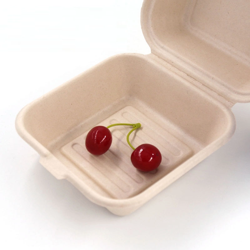 Biodegradable Burger Box Custom-Made Biodegradable Disposable Lunch Box, Takeaway Box