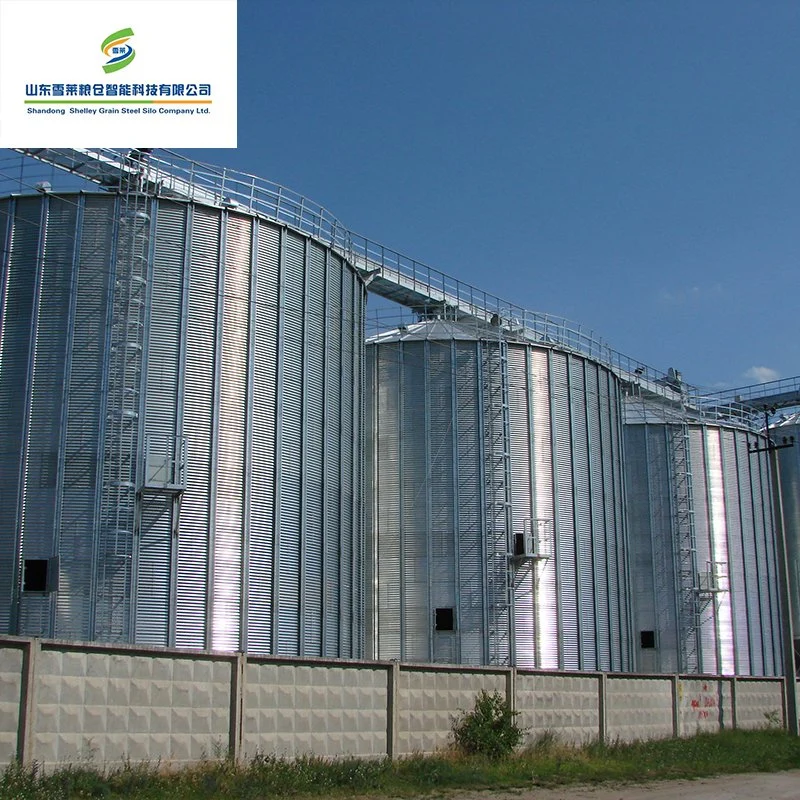 Oferta profesional Silos silos de acero ensambladas Bean de Materias Primas Almacén de silo