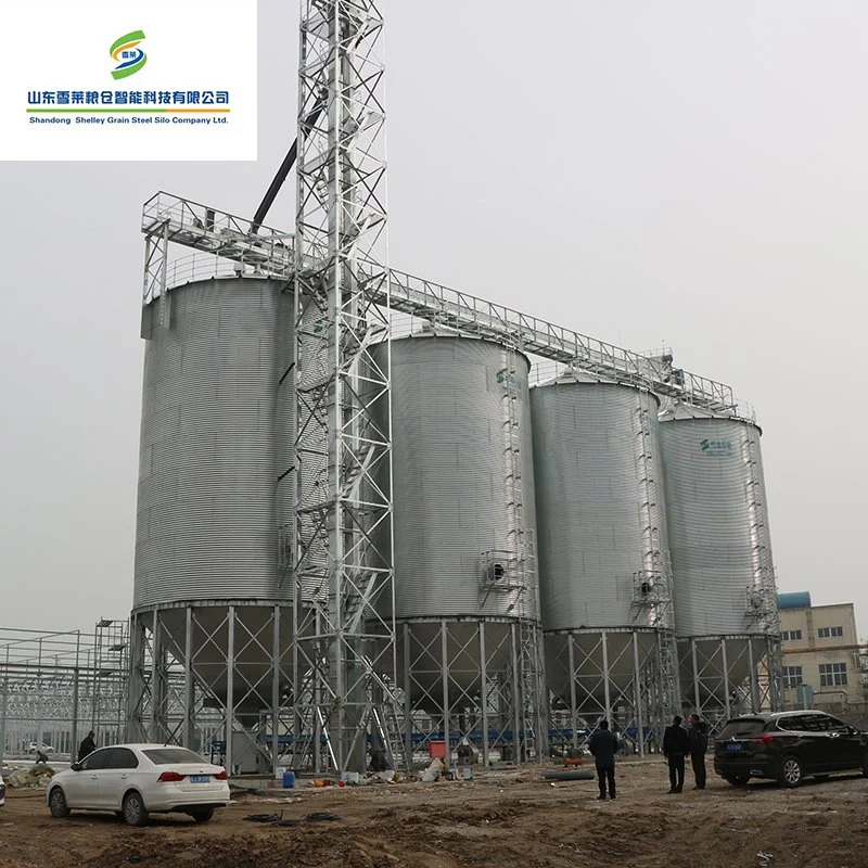 China Shelley precio de fábrica tolva Tipo inferior almacenamiento de grano Acero Silo para la venta