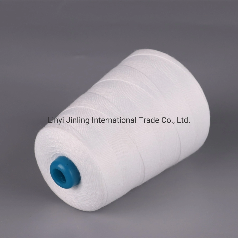 Supply Polyester 100% Rayon OEM Thread 18s/6 Sewing Bag Closing Thread