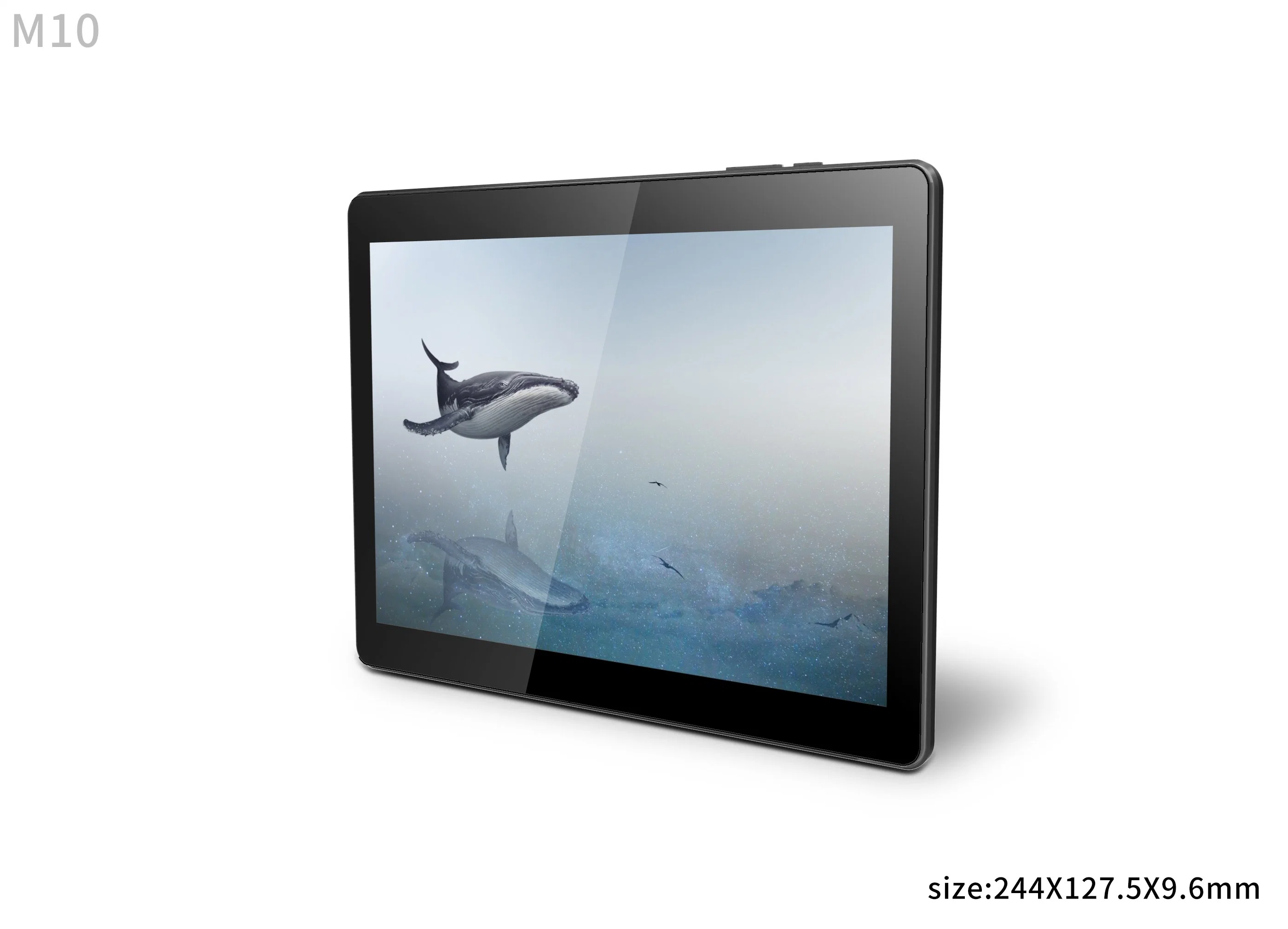 10inch Quad Core Android Tablets IPS Screen Touch 5.0MP+8.0MP Dual Camera MID Tablet PC with Pen