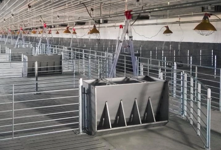 Pig Feeding Equipment Pig 201/304 Stainless Steel Trough