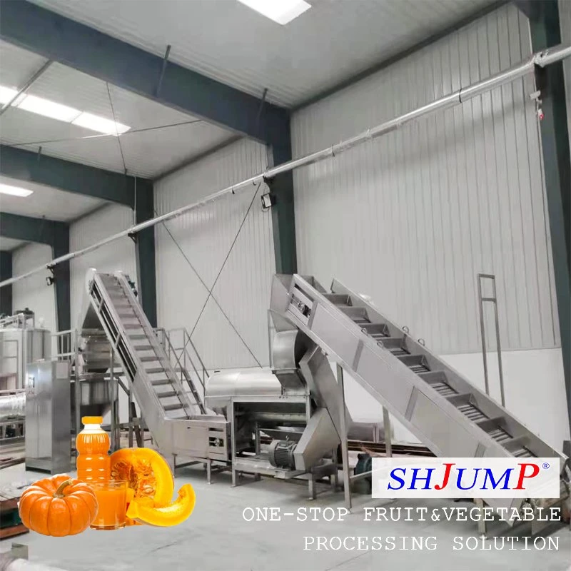 500kg Per Hour Pumpkin Shell Stripping Machine