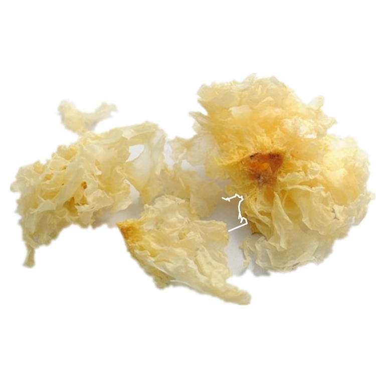 High quality/High cost performance  Dried White Fungus Snow Fungus Factory Price Whole Tremella