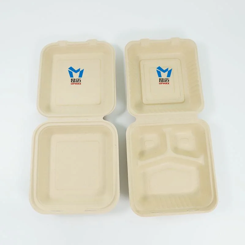 Spot Environmentally Friendly Biodegradable Take-out Pulp Packing Box