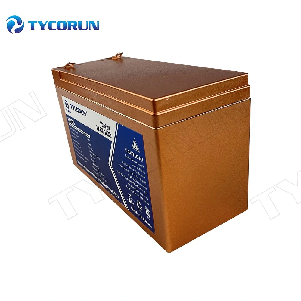 Batterie lithium-ion rechargeable Tycorun 24 V 10 ah / 24 volts Batterie pour outil électrique