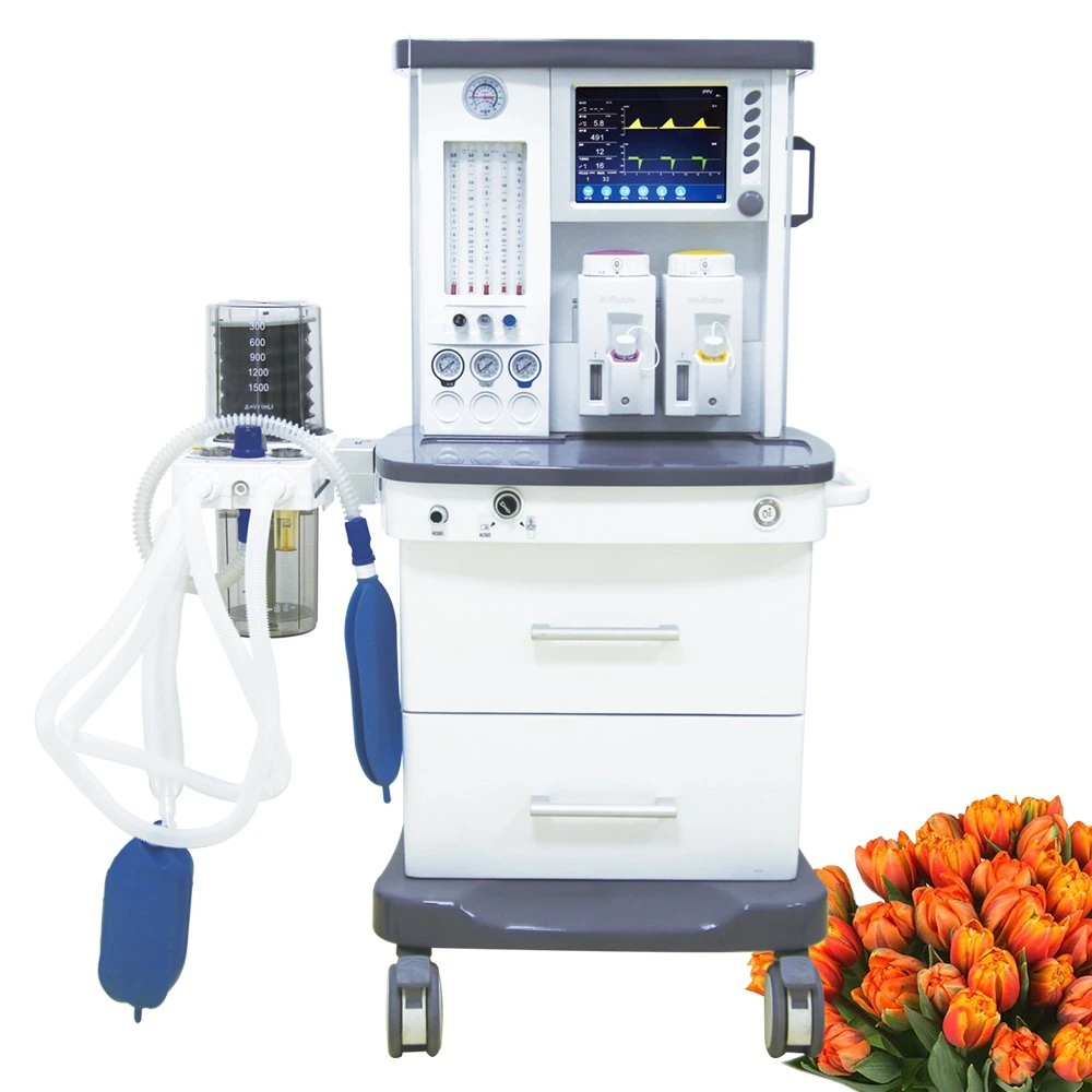 2022 Anesthesia Equipment Anasthesia Machine System with Ventilator