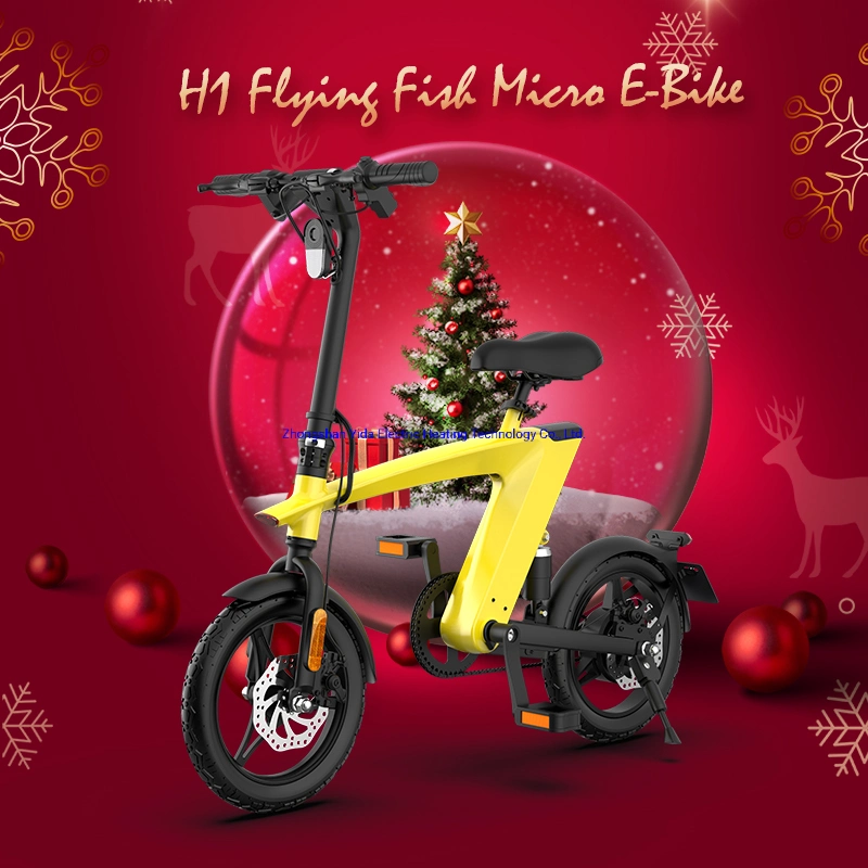 Novo Modelo 250 chineses Motor W 10ah bateria grande variedade de bicicletas eléctricas para o Natal de 2022