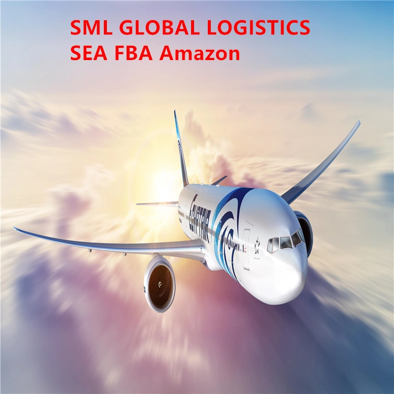 Transporte marítimo a Australia/Rockhampton/Gladstone/Newcastle/Geelong/Canberra/Acacia Ridge QL DDP Logística de Amazon Agentes Logística tarifas Air Express Forwarder