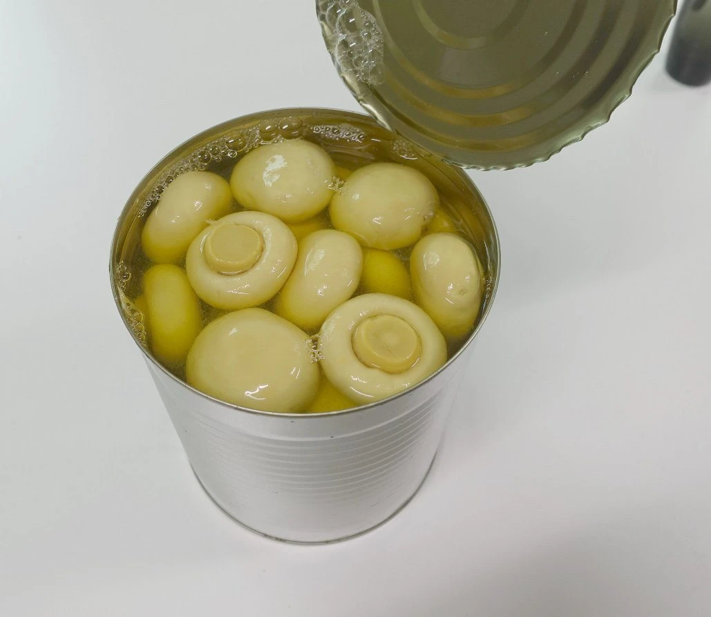 Fresh Mushroom Canned Whole Mushroom in Easy Open Lid