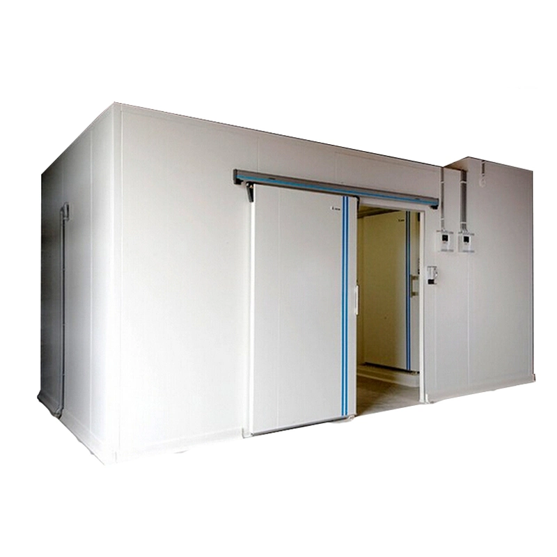 Golden Supplier Can Be Customized Cold Storage Room/Refrigerator Freezer/Cold Storage System for Sale