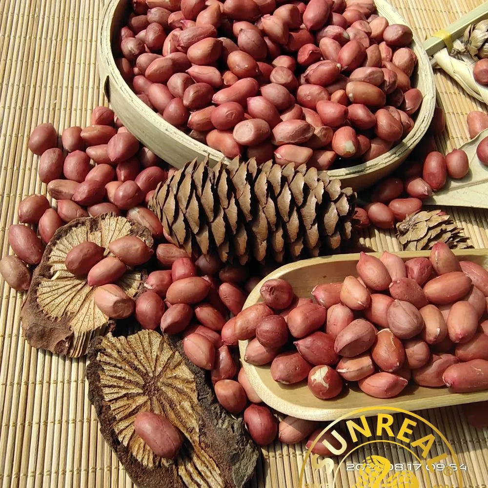 Raw Peanut Kernels/Red Skin/Quality Assurance/All Size/Pukee Foods/Sunreal/Fine Packing