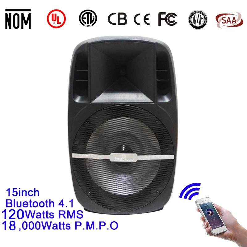 Memory Card Support 15inch Audio Speaker Sound Box