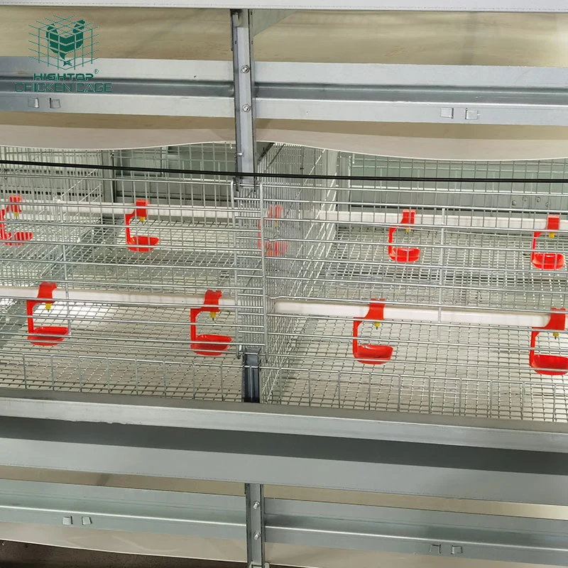 20000 Battery H Type Automatic Baby Chicks Cage System Poultry Farming Equipment