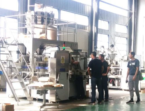 Automatic Rotary Bag Given Packing Machine for Frozen Vegetable