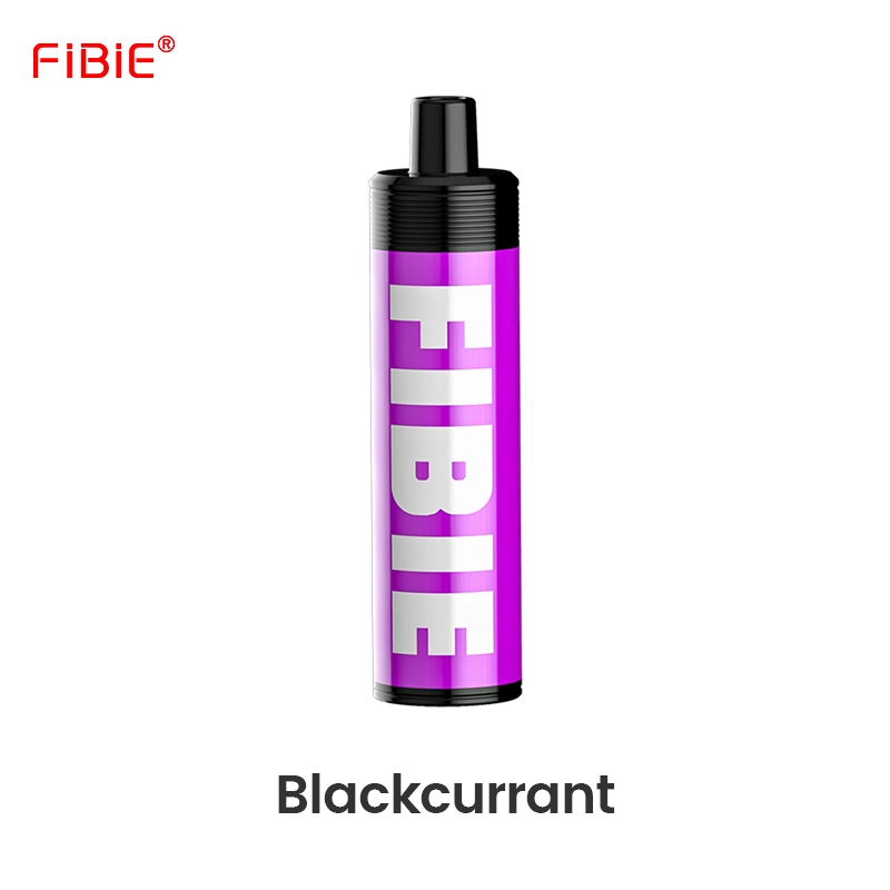 Fibie OEM Shenzhen Vape Shop Puff Bar Mini 4000puff Plus Max Disposable Smoke Vape Pen Style E Cigarette