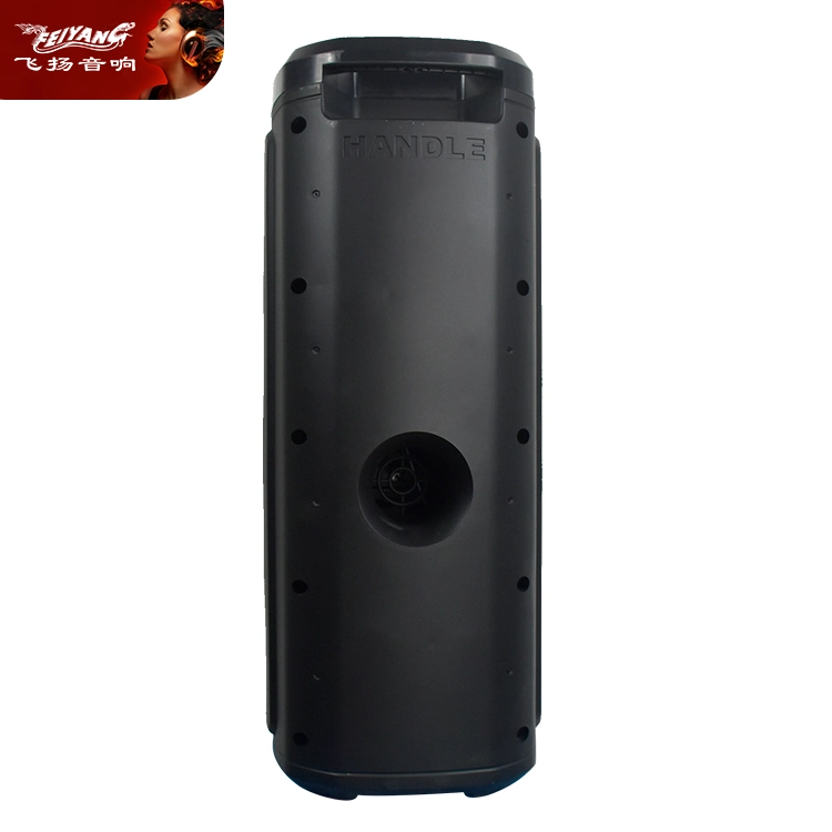 De 6 pulgadas de doble altavoz Feiyang parte modelo privado Wireless Box