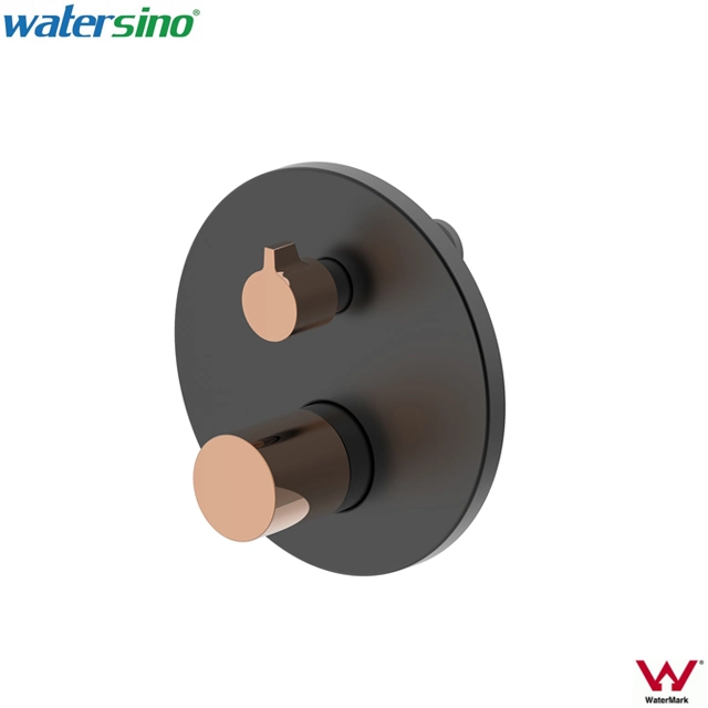 Watermark Concealed Mixer Wall Mounted Matte Black Brass Shower Mixer