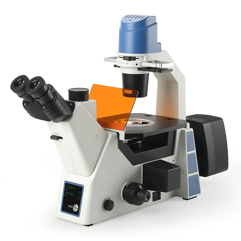 BestScope BS-2091F LED microscopio biológico fluorescente invertido trinocular