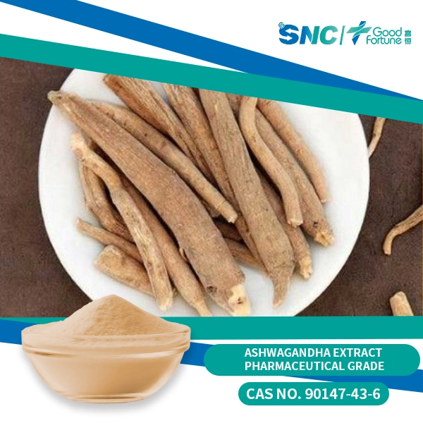 Potente reducir la tensión píldora Rhodiola Ashwagandha raíz Phosphatidyllserine Magnolia Corteza Extraer cápsula con magnesio