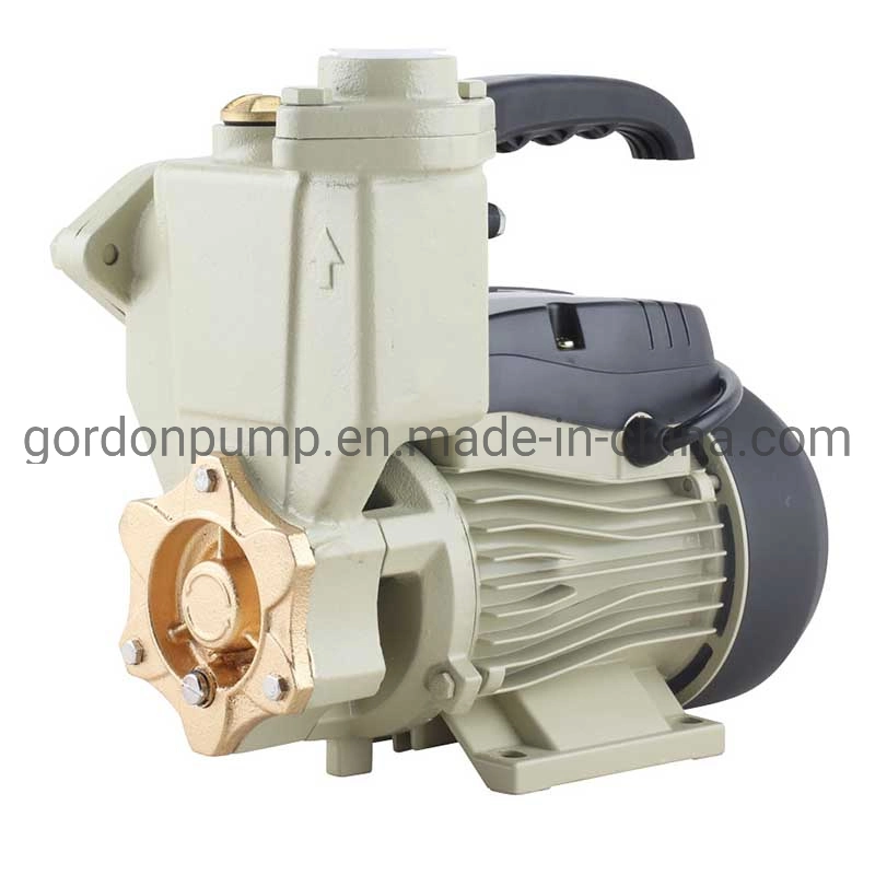 PS128 Surface Water Pumps Electric Power Bomba