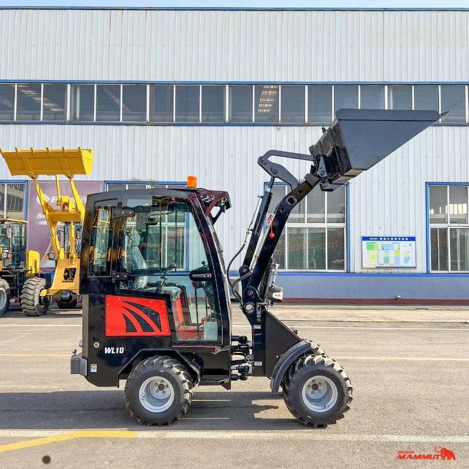 Wl10 CE Certificates Transmission Italy Pump Mini Wheel Loader