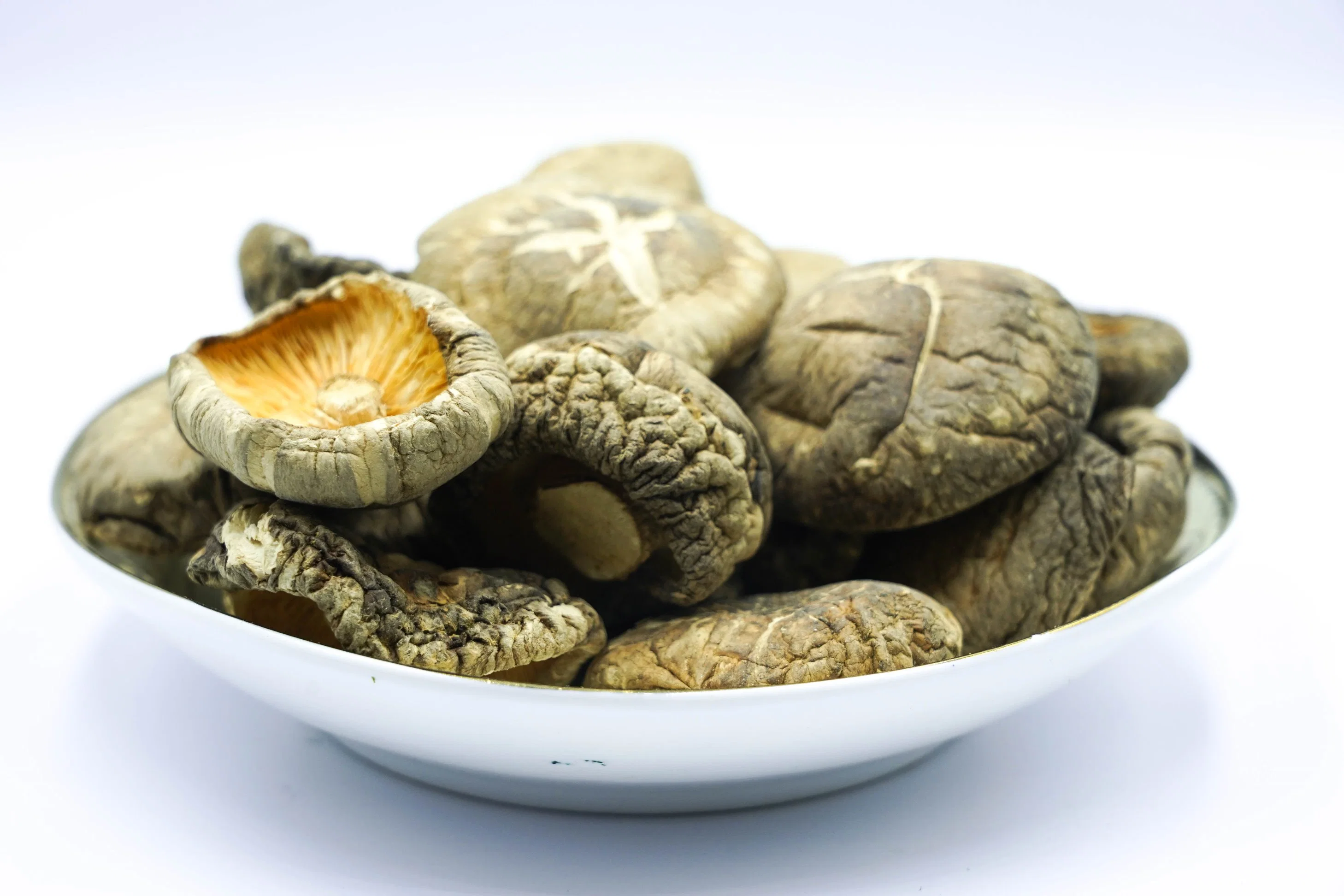 Haute qualité prix de gros de champignons shiitake séchés