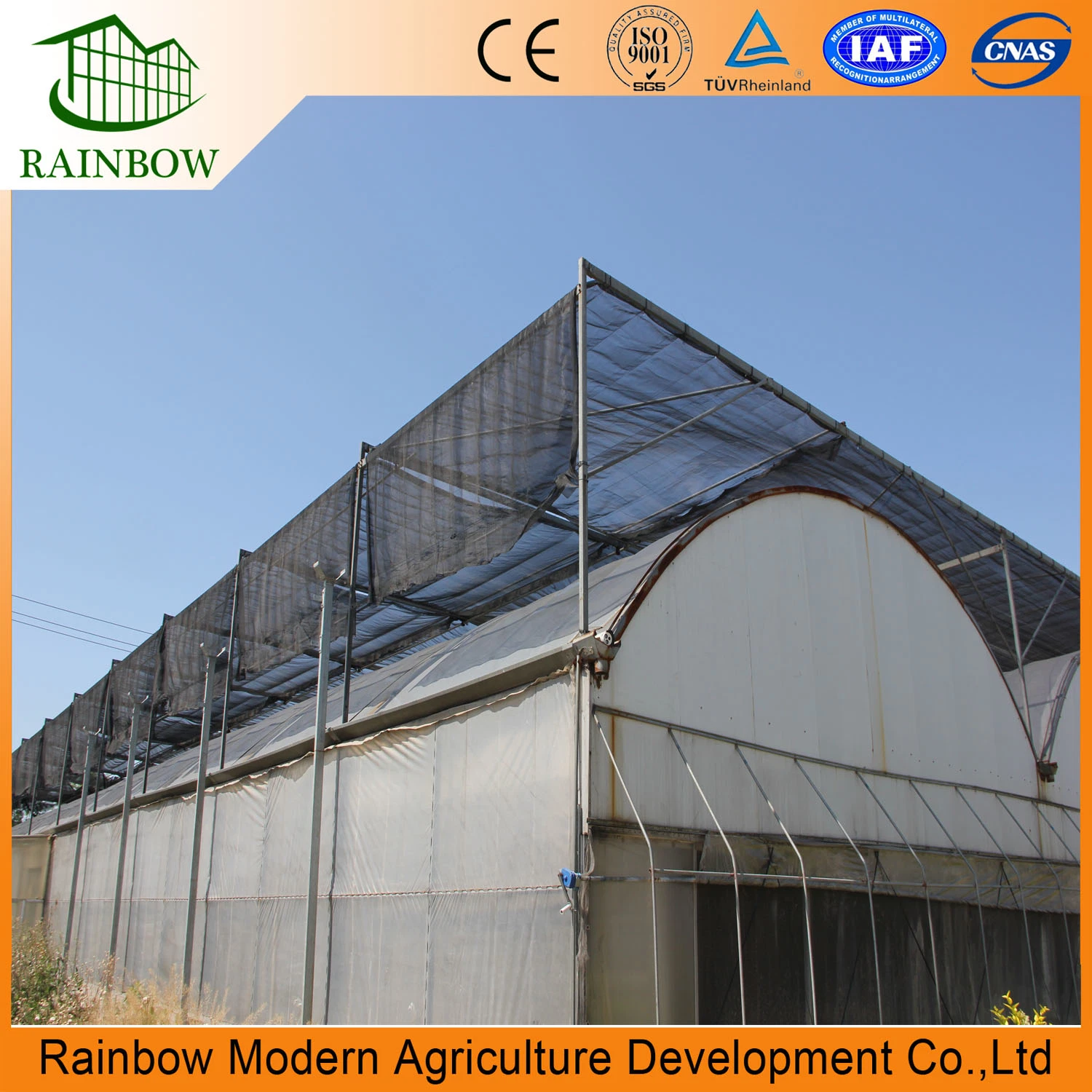 Cheap Arch Type Film Tomato Greenhouse for Tropical Region