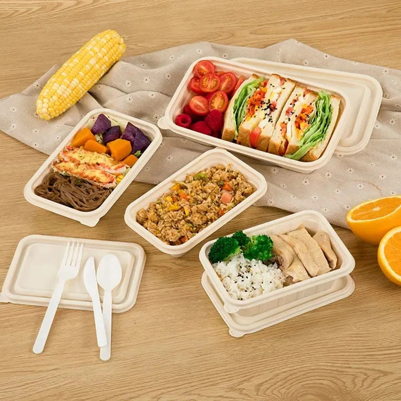 Biologisch Abbaubare Maisstärke Lebensmittelbehälter Zum Mitnehmen Lebensmittel Umweltmittagessen Verpackungskasten