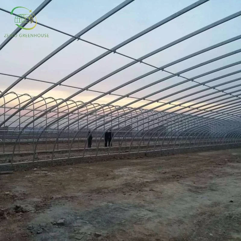 Modern Agriculture Multi-Span Customized Oval Tube Greenhouse with Heating Fan Boiler System for Vegetables Fruits Flowers Blueberry Cucumber