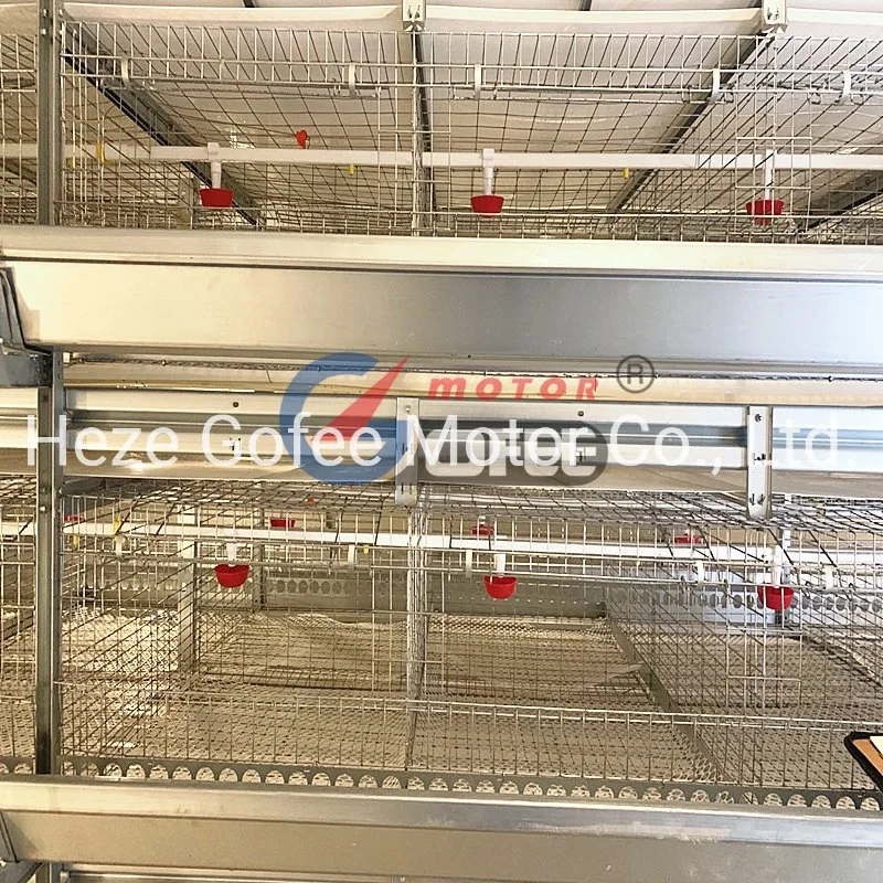 H Type Chicken Broiler Farming Equipmet Cage 4 Tiers Hot Galvanized House Quail Automatic Layer