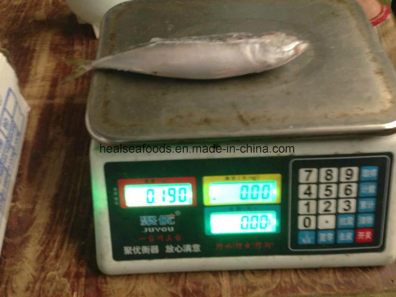 Mackerel Frozen on Land Pacific Mackerel