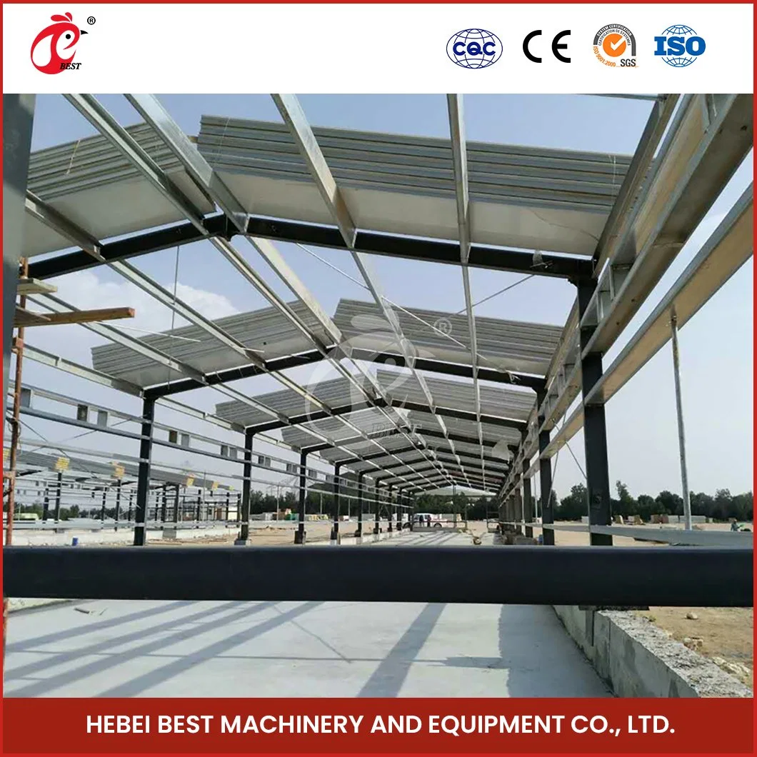 Bestchickencage Steel Poultry House China Low-Cost Prefab Poultry House Manufacturing Sample Available Assembled Steel Poultry Buildings