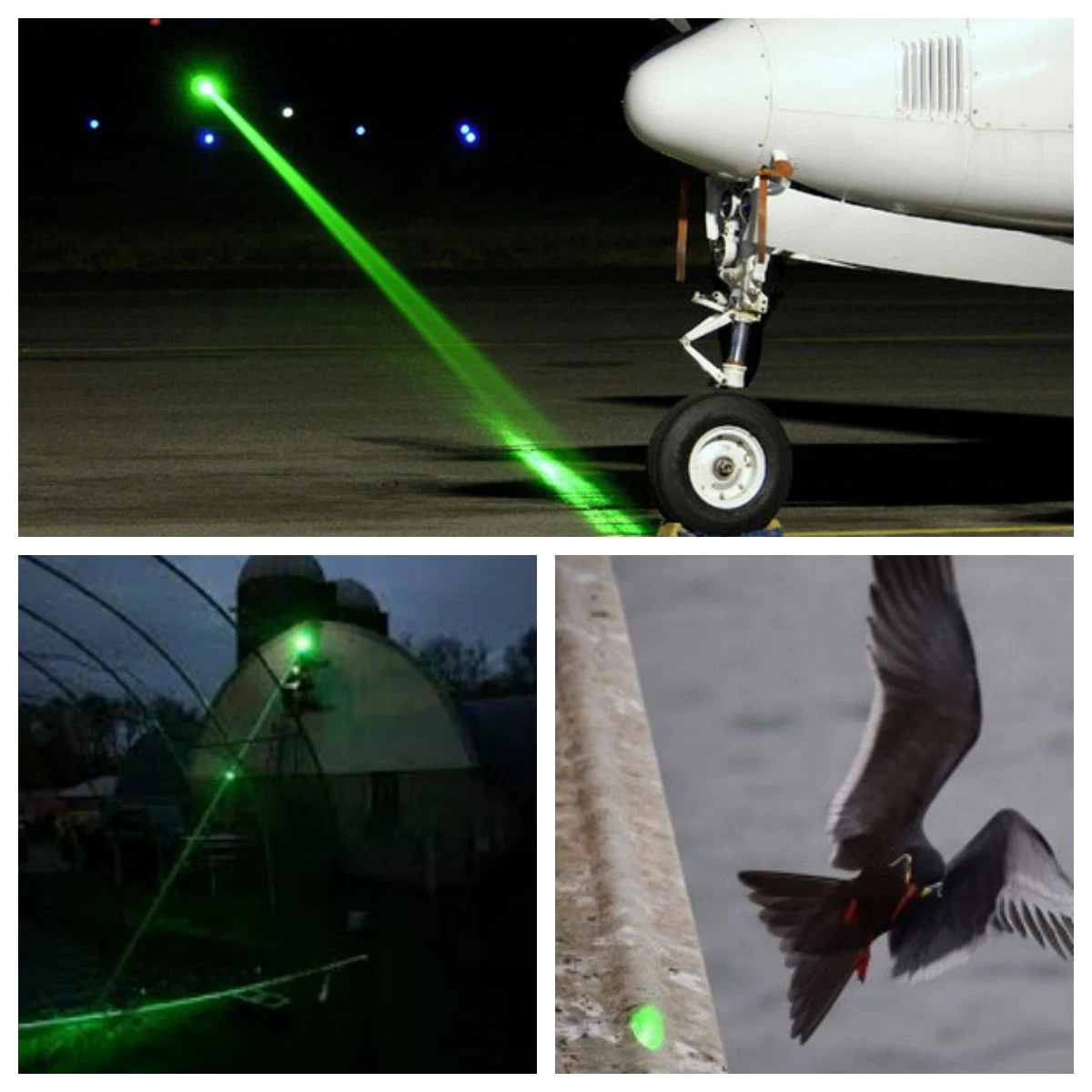 Luz laser de controlo de aves com alta qualidade