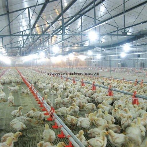 CE Approved Automatic Poultry Farming/Farm/House/Shed/Coop Cage/Machine/Equipment for Feeding and Drinking Watering Chicken/Broiler/Breeder