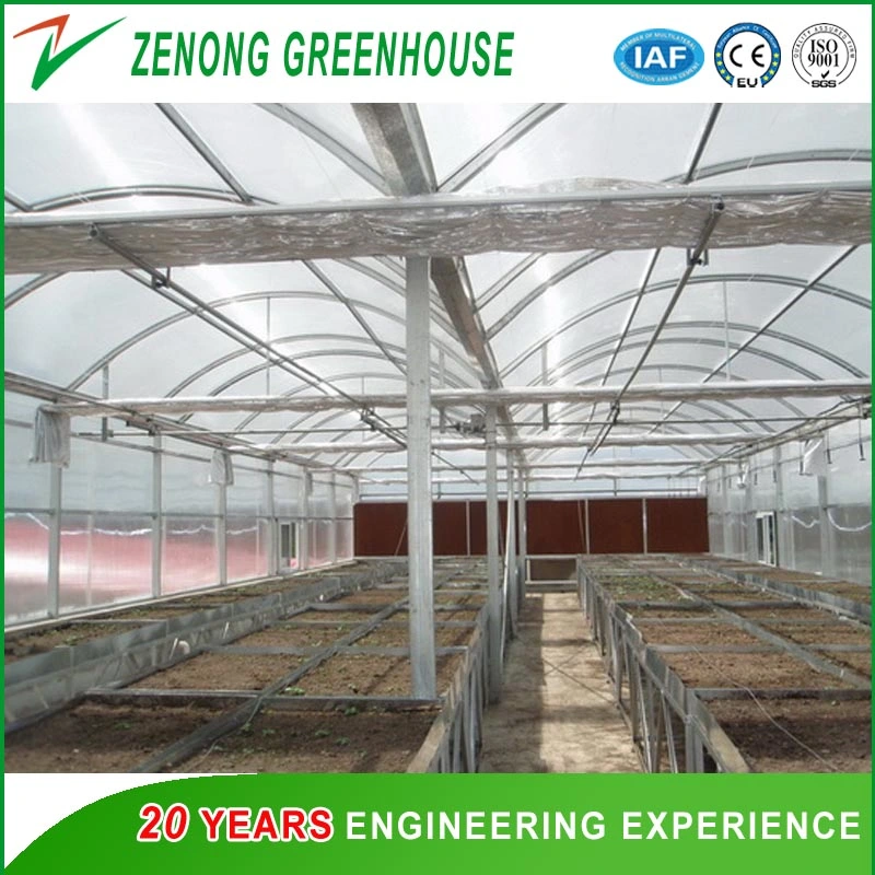 China High quality/High cost performance  Plastic Film Multi-Span Greenhouse with Outside Shading Net for Cherry/Strawberry/Fruit Tree