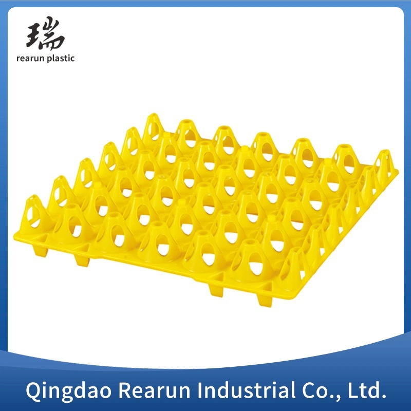 Plastic Injection Egg Tray Food Plastic Tray