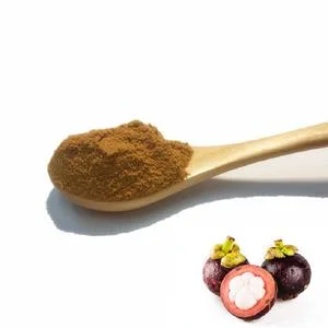 Factory Price 10%~40% Mangostin Mangosteen Extract CAS 6147-11-1