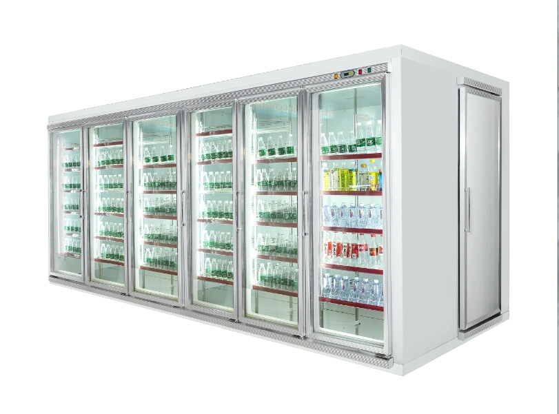 Commercial Refrigeration Equipment Glass Door Display Walk in Chiller Freezer