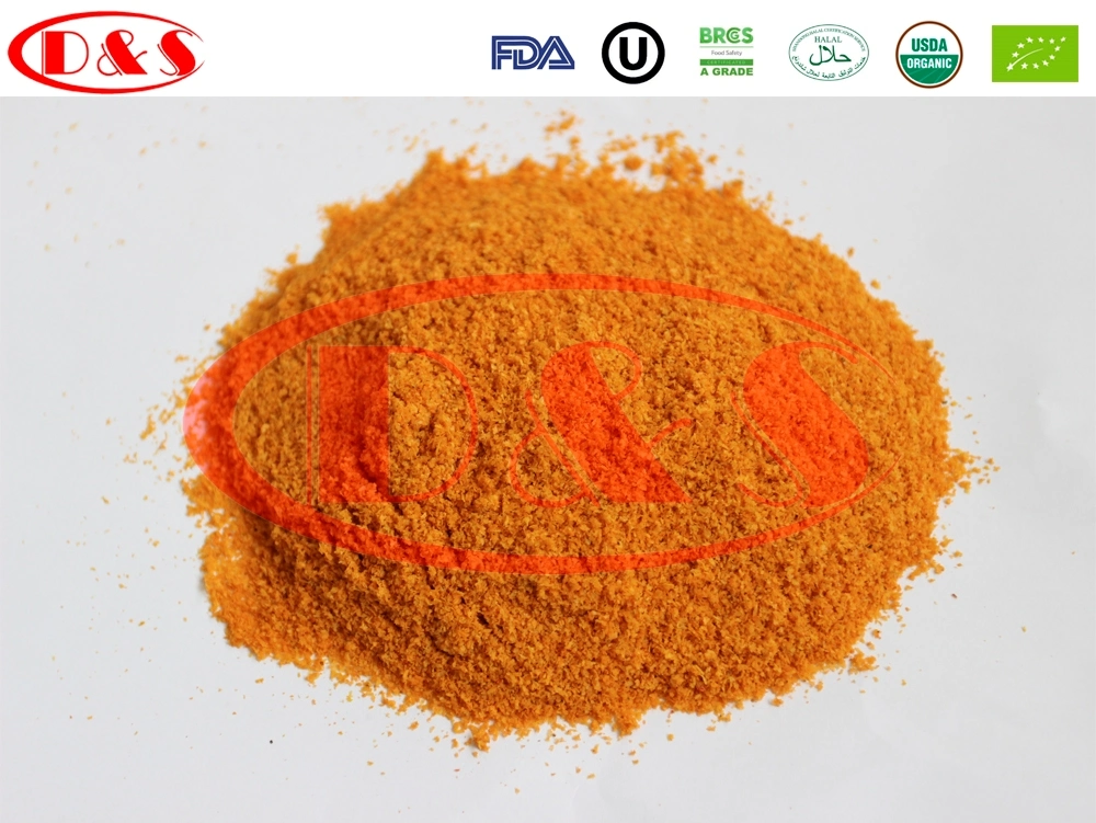 Suministro de fábrica de polvo de Chile rojo Paprika dulce sin colorantes