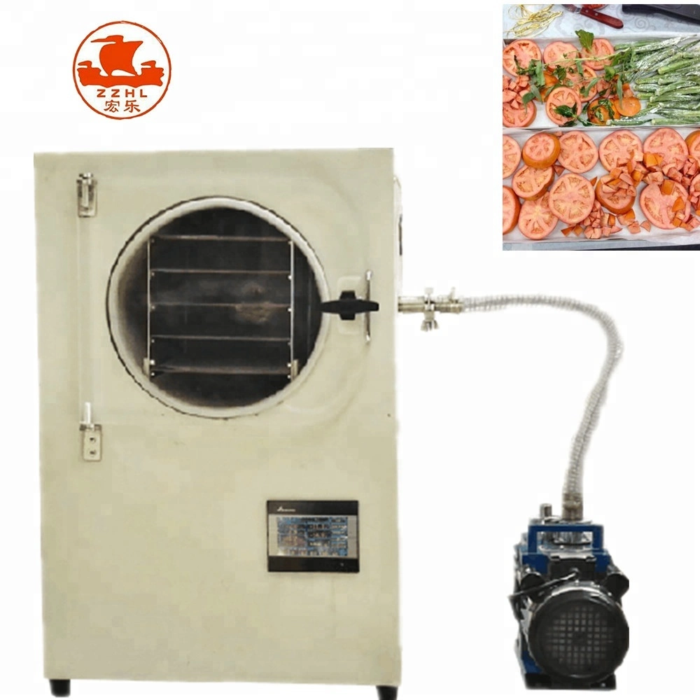 Food Vegetable Fruit Home Homemade Household Lab Vacuum Lyophilization Machine Equipment